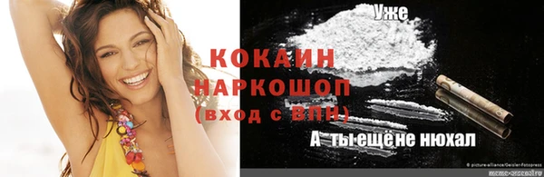 не бодяженный Бородино