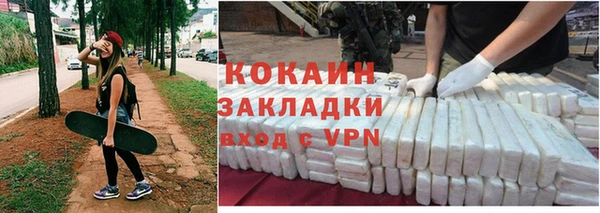 твердый Богородицк